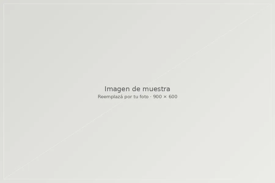 Imagen de muestra